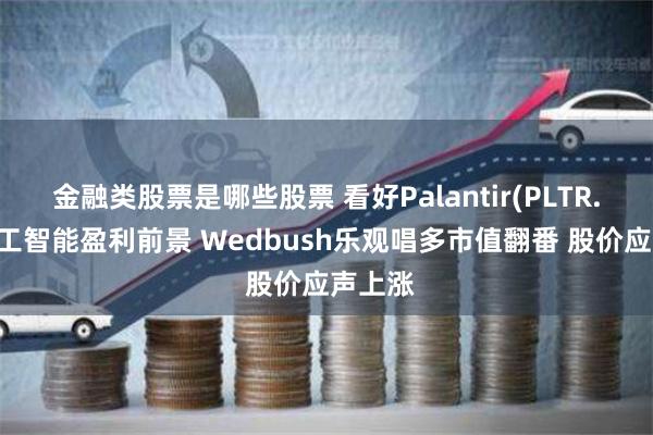 金融类股票是哪些股票 看好Palantir(PLTR.US)人工智能盈利前景 Wedbush乐观唱多市值翻番 股价应声上涨