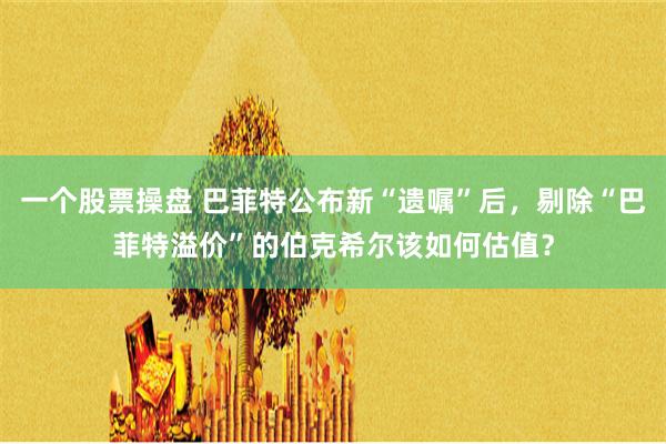 一个股票操盘 巴菲特公布新“遗嘱”后，剔除“巴菲特溢价”的伯克希尔该如何估值？