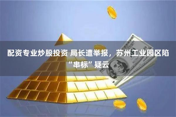 配资专业炒股投资 局长遭举报，苏州工业园区陷“串标”疑云